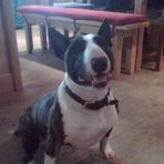 Dexter Wilcox - Facebook