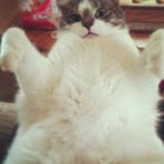 Dexter Wilcox - Facebook