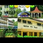 Dhammika Perera - @dhammika.perera.9022 - Instagram