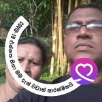 Dhammika Perera - @dperera26 - Instagram
