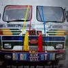 Dhan Shahi - @dhan.shahi8 - TikTok