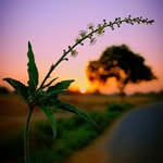 🚩ᴅʜᴀɴɴᴜ_1ᴋ🚩 - @dhananjay_sinha_1k - Instagram