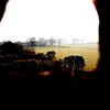 DHANBIR SINGH 06 - @dhanbir6 - TikTok