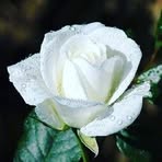 Dhanesh Ganesh - Facebook