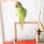 Dhanesh Ganesh - @ganesh_dhanesh - Instagram