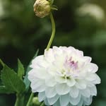 Dharmendra sinha - @sinha_dharmendra_76543 - Instagram