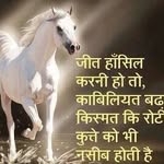 dharmeshthumar - @dharmeshthumar9234 - Instagram