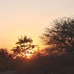 Dharmik Mehta - @dharmik9191_mehta - Instagram