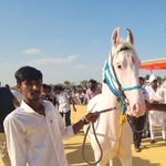 dhaval joshi - @dhavaljoshi___1743 - Instagram