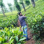 Dhruv Mohan - @dhruv_mohan2 - Instagram