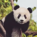 Dhruv paul - @dhruvpaul1412 - Instagram