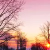 dhun patel - @dhunpatel_6011 - TikTok