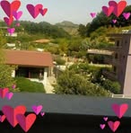 Dhurata Azemi - Facebook