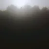 Dhuru Kumar - @dhurukumar8 - TikTok