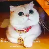 家瑜优选 - @dichangeyouxiu - TikTok
