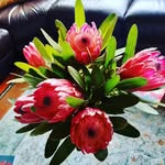Di Hall - @dihall5 - Instagram