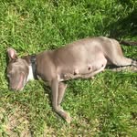 Di Hall-Delphie's Account - @momma_delphie - Instagram