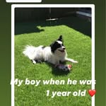 DiDo Helen - @dihall60 - Instagram