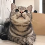 Dijiang Chan - @dijiang_chan - Instagram