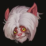 Dijiang Studio - @dijiangstudio - Instagram
