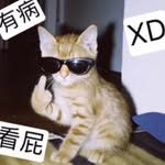 低踐高 - @dijiangao - Instagram