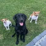 Diaries of Lola, Zoë & Bailey - @diaries_of_lola_zoe_bailey - Instagram