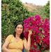 Đĩa Trần - Facebook