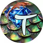 Diamond T Exotics - Austin - @diamondt_exotics - Instagram