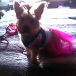 diamond bowen - @diamondbowen8 - Instagram