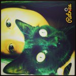 Diamond Carpenter - @bbdime11 - Instagram