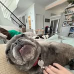 Carson Diamond - Facebook