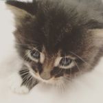 @craig.diamond - Instagram