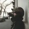 Diamond Daniel - @diamond.poor - TikTok