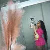 Diamonddanielle - @ddiamonddanielle_ - TikTok