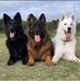 Diamond Dowson - Facebook