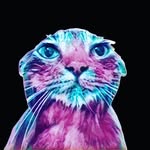 Diamond Grace - @diamondgrace123 - Instagram