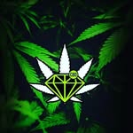 Diamond Green CBD - @herbotic_diamondgreencbd - Instagram