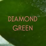 DIAMOND GREEN/uhun. - @diamond_green___uhun - Instagram