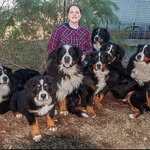Diamond Lake Berners - @diamondlakeberners - Instagram