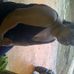 Dian Adams - Facebook