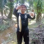 Dian Yudyatman - @dian_yudyatman - Instagram