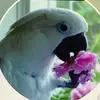 Diana Ball - @diana.ball6 - TikTok