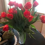 Diana Barnard - @diana.barnard12 - Instagram