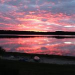 DIANA BARTON - @thedeweyhome - Instagram