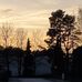Diana Baum - Facebook