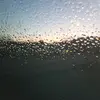 diana_boucher - @diana_boucher - TikTok
