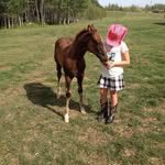 Diana Denis Boucher - @sundancesan - Instagram