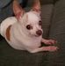 Diana Bourque - Facebook