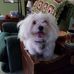 Diana Bowen - Facebook