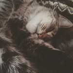 Диана Кай - @dianabraink - Instagram